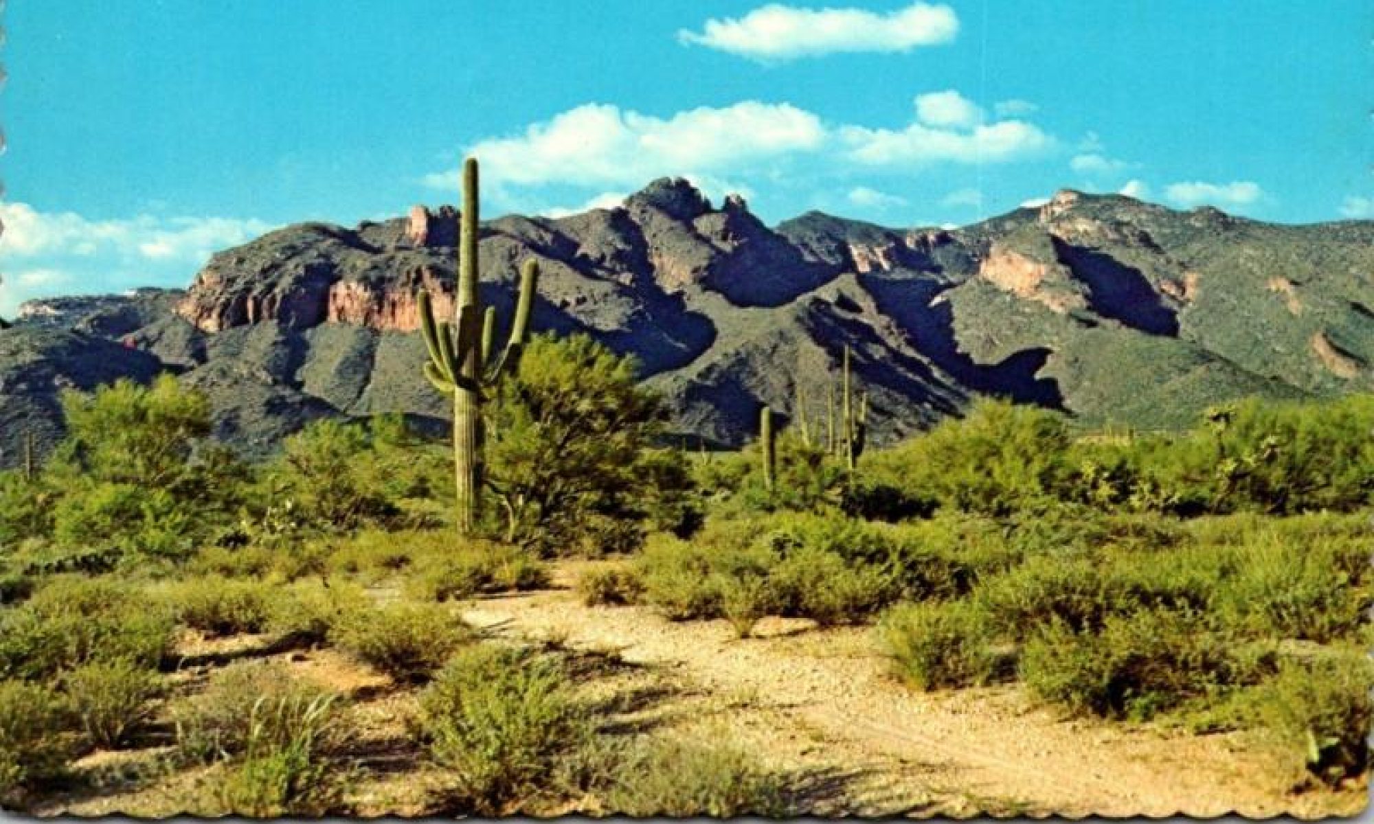 Tucson Catalina Mountains